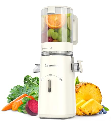 Slow Juicer