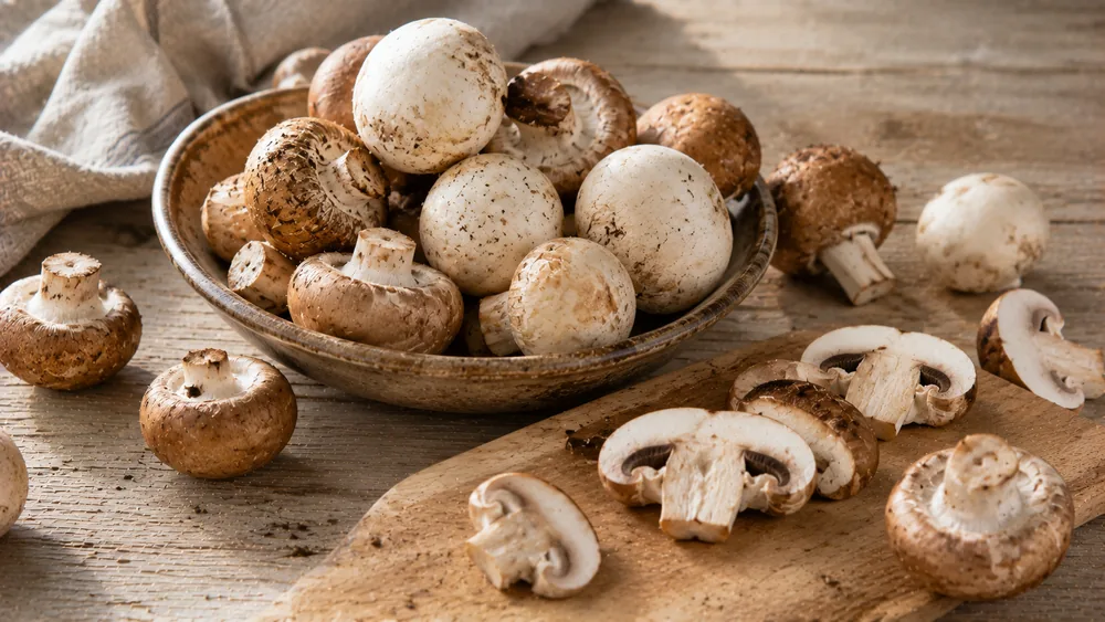 Champignons: frisch halten, putzen und zubereiten