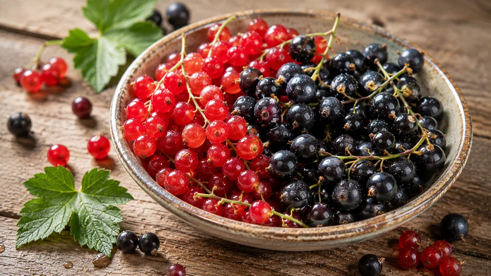 Johannisbeeren: rot, schwarz und randvoll Vitamin C