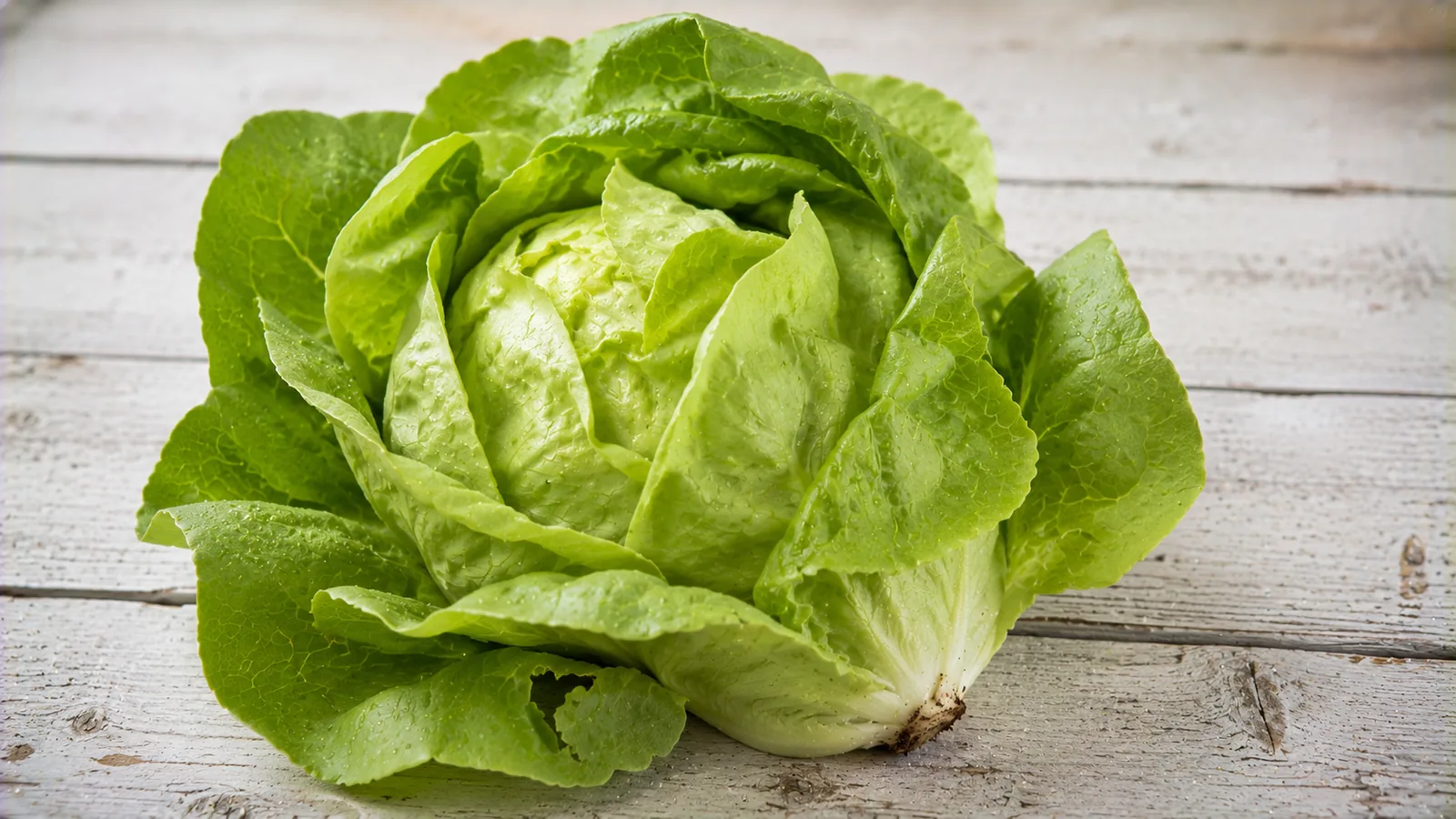 Frischer grüner Kopfsalat mit zarten, leicht gewellten Blättern und hellem Herz auf einem Holzbrett