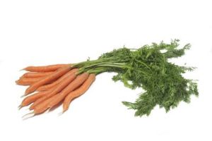 Karotten gesund