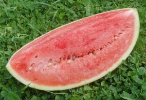 Wassermelone gesund
